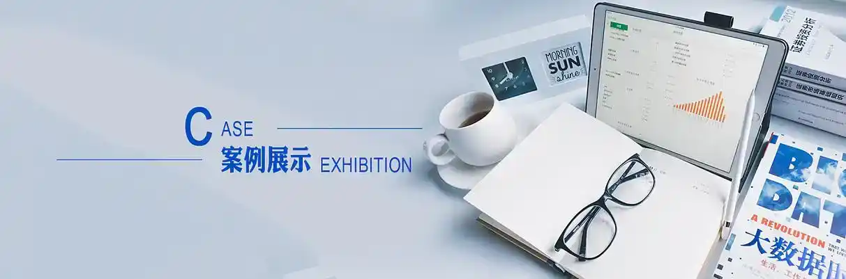 东丰县软件开发
